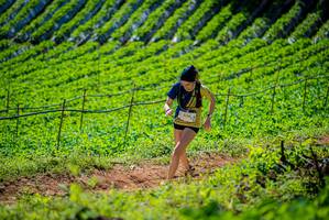 BIB: 3306
                            <button type="button" onclick="openModal(19162859)" class="btn btn-primary btn-sm float-right btn-popup" data-toggle="modal" data-target=".modal-high-quality">
                        <i class="fas fa-shopping-cart"></i> Add to Cart
                    </button>
                                            <button type="button" onclick="isThisMe(19162859, true)" class="btn btn-success btn-sm float-right btn-popup btn-isme hidden" data-toggle="tooltip" data-placement="bottom" title="นี่คือรูปของคุณใช่ไหม คลิกที่นี่เพื่อเอาเข้าอัลบั้ม">
                        <i class="fas fa-plus"></i> Add to album
                    </button>
                    <button type="button" onclick="isThisMe(19162859, false)" class="btn btn-warning btn-sm float-right btn-popup btn-isnotme hidden">
                        <i class="fas fa-ban"></i> Remove from album
                    </button>